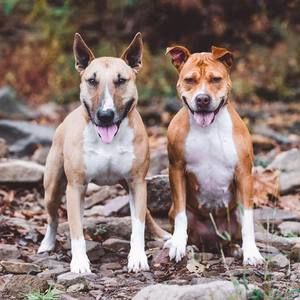 Meet your Posher, Mossy